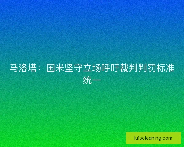 马洛塔：国米坚守立场呼吁裁判判罚标准统一